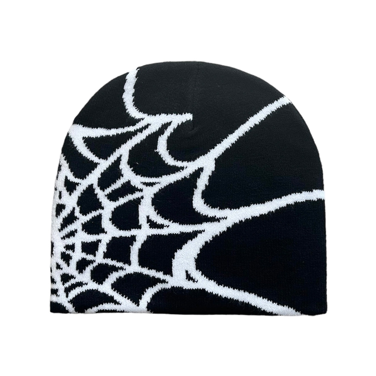 Spider Web Beanie