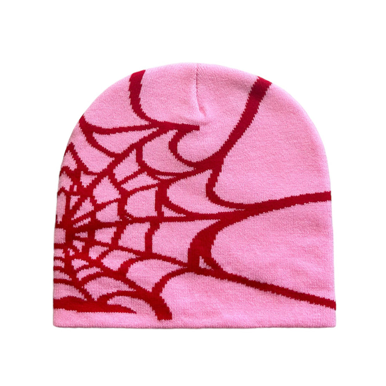 Spider Web Beanie