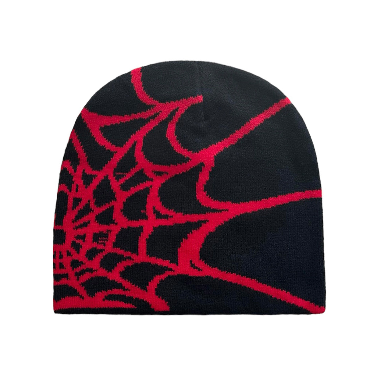 Spider Web Beanie